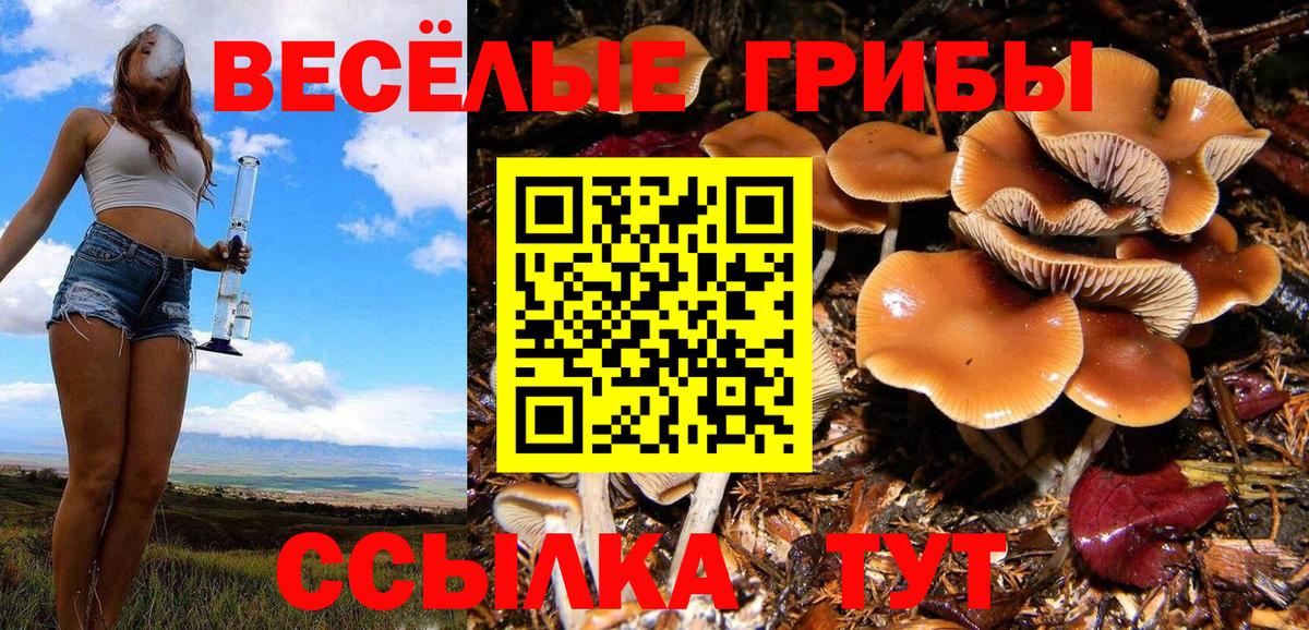Галлюциногенные грибы Psilocybe  Вход с VPN  Галлюциногенные грибы мухоморы  Усинск 